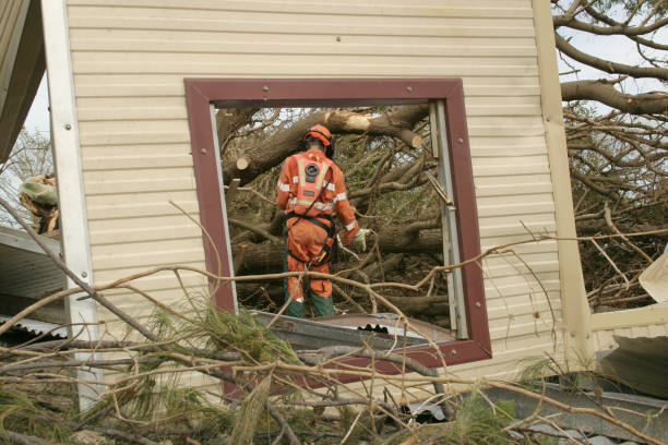 Best Tree Preservation Services  in Lakeland, NY