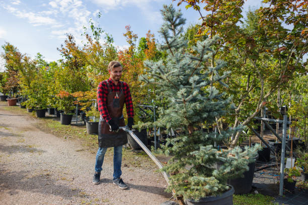 Leaf Removal in Lakeland, NY